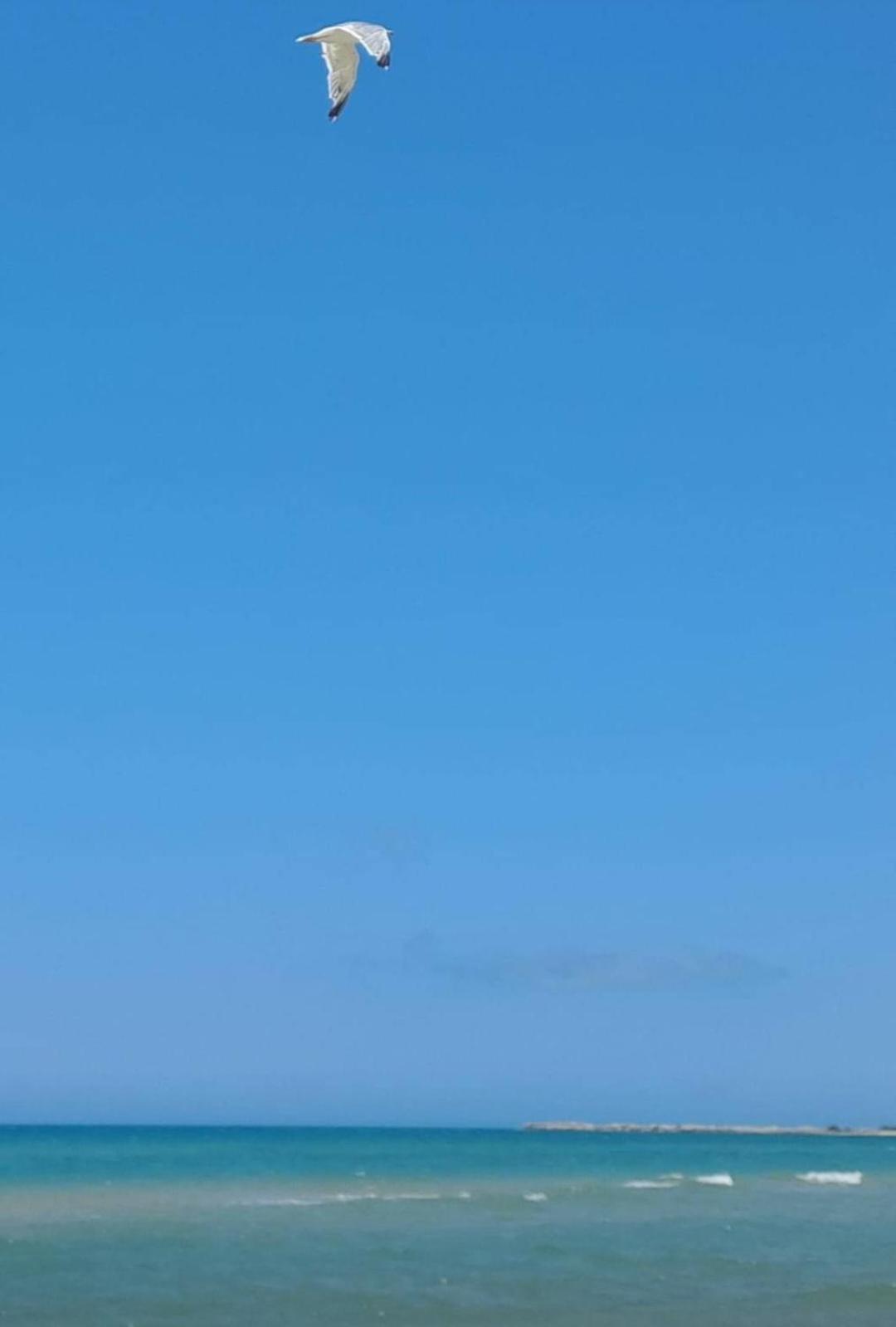 La Foggia Seaside Paradise Siculiana Exteriér fotografie