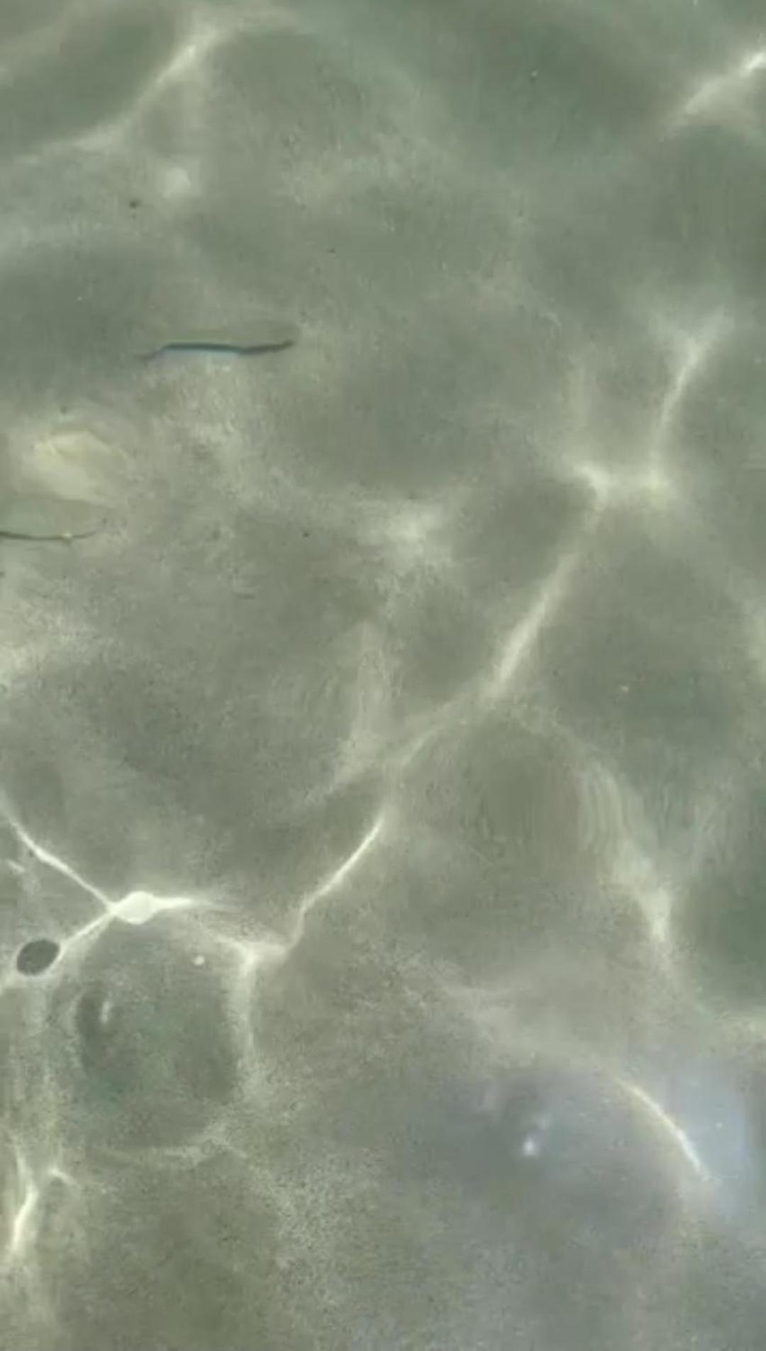 La Foggia Seaside Paradise Siculiana Exteriér fotografie